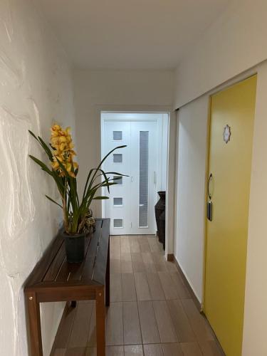 a hallway with a table with a potted plant on it at Jardins Village Hostel - Jardim Paulista in Sao Paulo