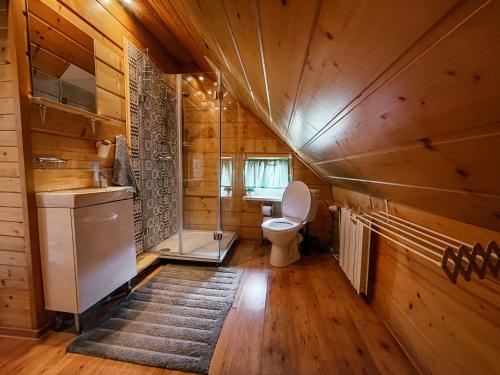 a bathroom with a toilet and a shower in a room at Apartament z DeSki in Bystra