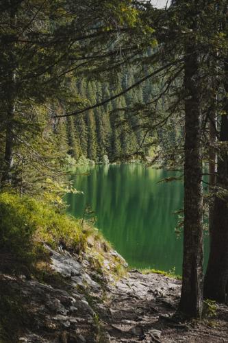 a view of a emerald green lake through trees at Casa di Pino EcoLodge Hotel in Žabljak