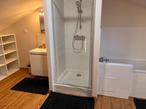 a shower with a glass door in a bathroom at Domaine clos et arboré de 3 ha avec deux maisons in Lamothe-Montravel