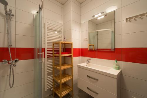 Koupelna v ubytování Holiday Home Planina