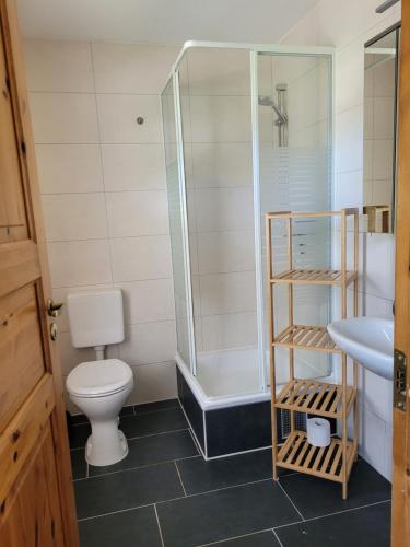a bathroom with a shower and a toilet and a sink at Ferienwohnung Ostseebad Karlshagen in Karlshagen