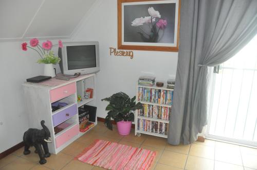 a room with a tv and a book shelf at Smartie Box in Langebaan