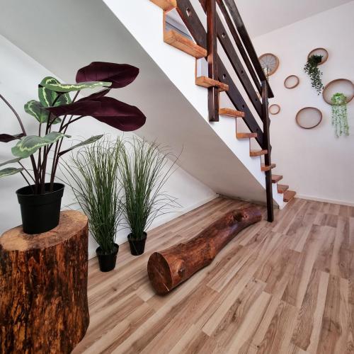a room with a staircase with plants and a tree stump at Pura - Home in Nature in Oliveira do Hospital