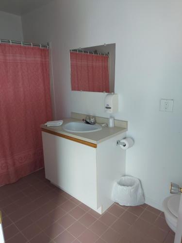 baño con lavabo y cortina de ducha roja en Motel du Cap St-Yvon, en Cloridorme