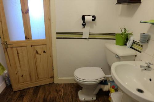 a bathroom with a toilet and a sink at Fabulous location with sea and castle view - NC500 in Keiss
