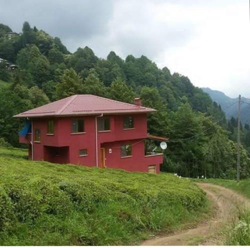 una casa roja al lado de una colina en Viceminiotel, en Rize