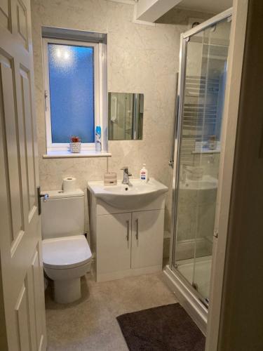 La salle de bains est pourvue de toilettes, d'un lavabo et d'une douche. dans l'établissement Modern 2 Bedroom Ground Floor Apartment with Parking Ripon City Centre, à Ripon