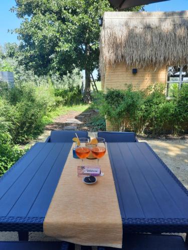 a blue picnic table with wine glasses on it at Wellness Lodge aan de Braassem in Rijnsaterwoude