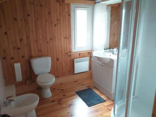 ein Bad mit einem WC, einem Waschbecken und einer Dusche in der Unterkunft Belle maison proche de la ville et du lac in Belcaire