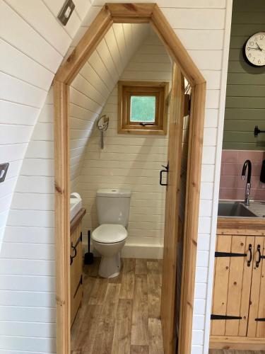 a bathroom with a toilet and a sink at Delor - Bryntalch Glamping Pods in Montgomery