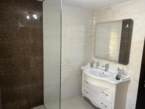 bagno con lavandino e doccia in vetro di Casa Rafael a Sighetu Marmaţiei