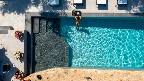 an overhead view of a swimming pool with a person in the water at Aqua Et Oleum in Villamiel