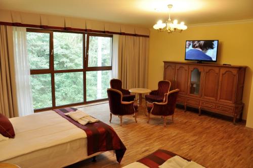 Schlafzimmer mit einem Bett, einem Tisch und Stühlen in der Unterkunft Hotel Mir-Jan SPA in Lądek-Zdrój