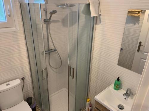 een badkamer met een douche, een toilet en een wastafel bij Appartement 2 personnes proche plage(900m) dans une maison individuel. in Hendaye