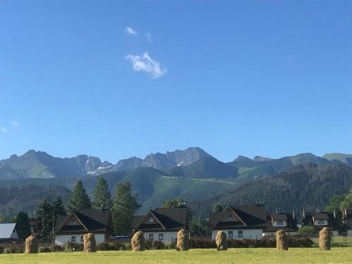 Camping Zakopane Willa Skoczek oferta nie dotyczy noclegu w pokoju Można zarezerwować namiot lub wolne Miejsce na campingu