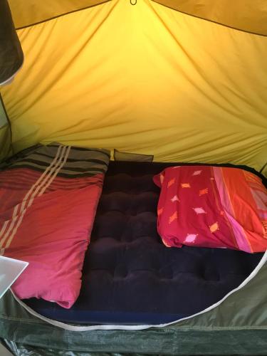 Posteľ alebo postele v izbe v ubytovaní Camping Zakopane Willa Skoczek oferta nie dotyczy noclegu w pokoju ,w namiocie ręczniki woda mineralna , kołdra poduszki lub śpiwory
