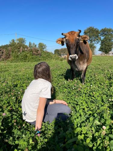 a young girl sitting in a field looking at a cow at Terra-Tipike, Tipi à la ferme entre Terre et Mer in Trébry