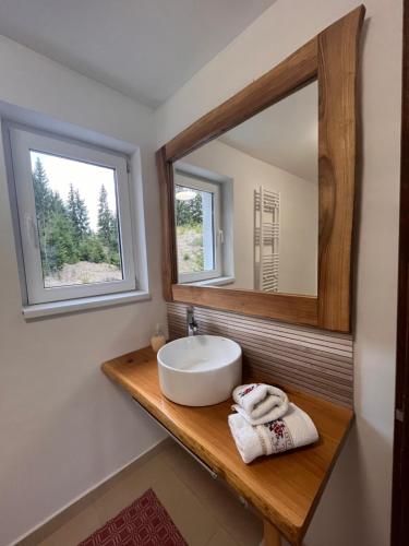 a bathroom with a sink and a mirror at Casa Bradut in Dorna Arini