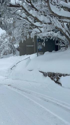 Gallery image of Winterbrook Chalet in Mount Buller