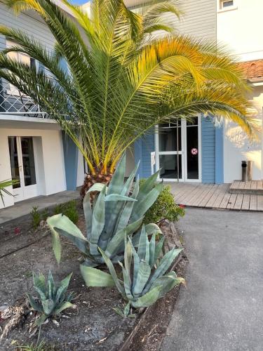 Κήπος έξω από το Home Place Apartments - Gujan Arcachon