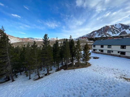 an aerial view of a house with trees and snow at Departamento Valle Las Leñas in Las Lenas