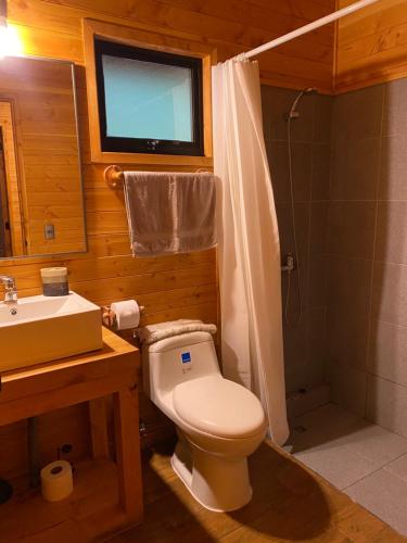 Koupelna v ubytování Cabaña nueva en Pucón
