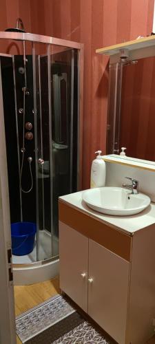 La salle de bains est pourvue d'une douche et d'un lavabo blanc. dans l'établissement Appartement duplex F2 tout confort proche centre ville avec parking gratuit, à Montluçon