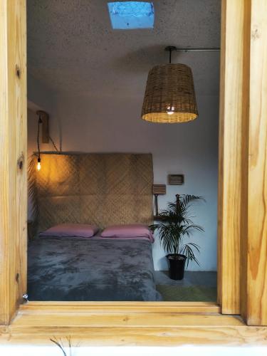 a bedroom with a bed with a potted plant at Hostel Boutique 55 in San Cristóbal de Las Casas