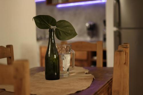 a green bottle with a plant in it on a table at Hostel Boutique 55 in San Cristóbal de Las Casas