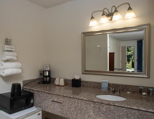 a bathroom with a sink and a mirror at The Occidental Lodge in Occidental