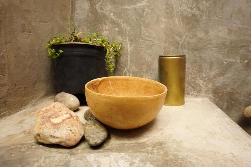 a bowl and a potted plant on a table at Hostel Boutique 55 in San Cristóbal de Las Casas