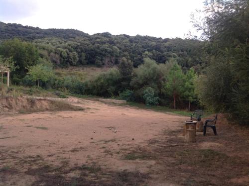 two benches sitting in a dirt field with trees at Residence Cucunacciu in Cargèse