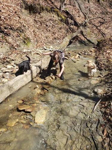 a woman and two dogs playing in a river at Red River Gorge Creekside, New*Spacious *2 baths! in Stanton