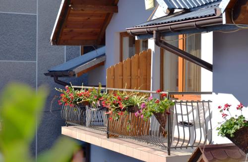 a row of flower boxes on a window sill at Pokoje do Wynajęcia u Lusi in Krościenko