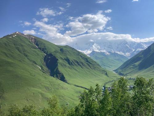 a green valley with snow capped mountains in the background at Nizharadze's Tower in Ushguli