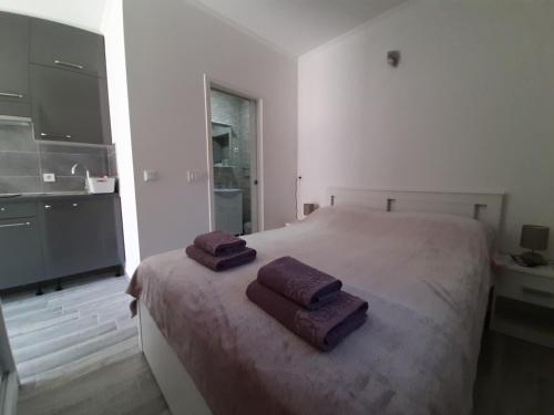 Apartment Luna