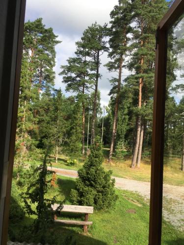 a window view of a park with a bench and trees at Voosemetsa Turismitalu in Voose