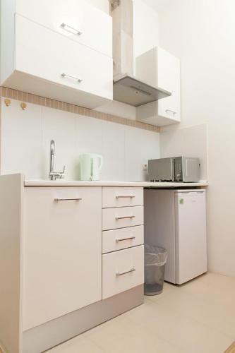 Η κουζίνα ή μικρή κουζίνα στο Apartment Stara vrata