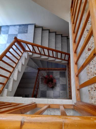 a staircase in a building with a potted plant at Phaethon Hotel in Kos Town