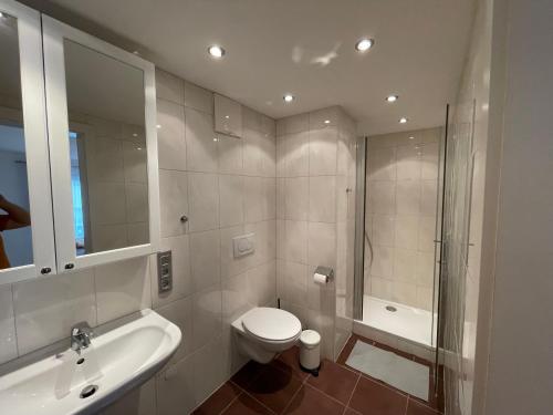 a bathroom with a toilet and a sink and a shower at Gulewicz Apartments in St. Wolfgang