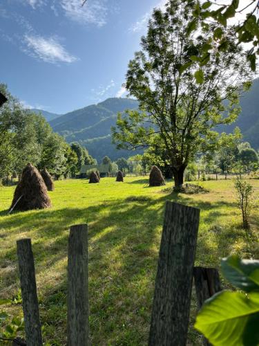 a fence in a field with a tree and hay at Hygge Cabana in Malaia