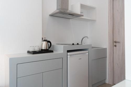 Η κουζίνα ή μικρή κουζίνα στο Bedspot Apartments Astipalaia