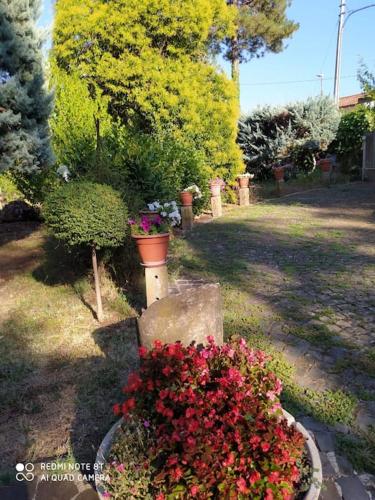 a bunch of flowers in a garden with trees at Bellorizzonte Colleferro in Colleferro