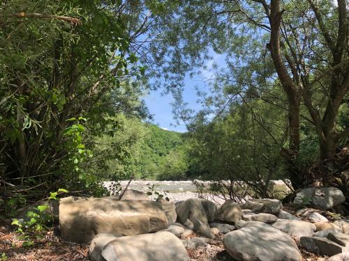 a group of rocks and trees in a forest at Hurja Apartments in Kobarid
