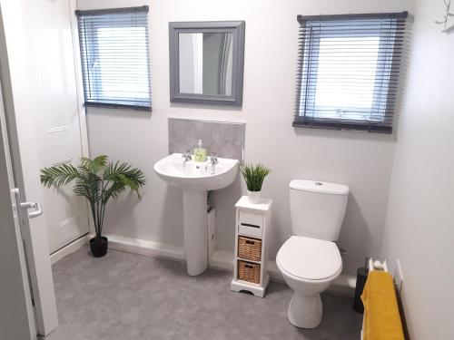 a bathroom with a white toilet and a sink at Swansea Townhouse Perfect for contractors Private double rooms in Swansea