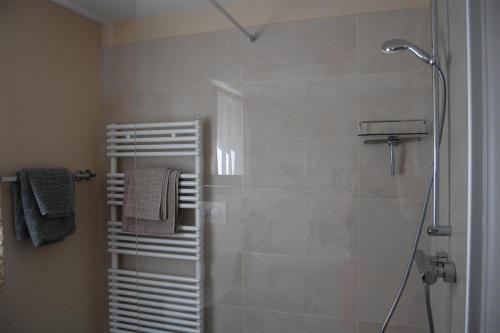 a bathroom with a shower with a glass door at Ferienwohnung Rheinsberg Altstadt in Rheinsberg