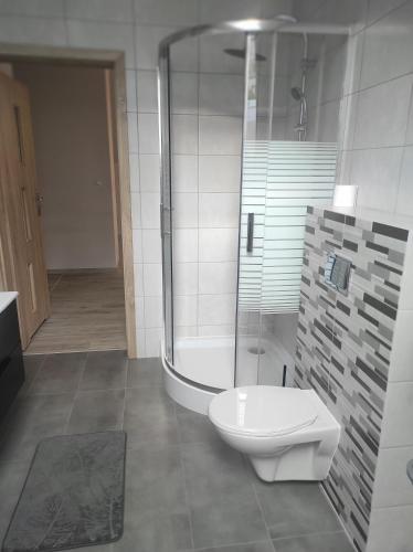 een badkamer met een douche, een toilet en een bad bij Nocleg na Poziomkowej in Kościerzyna