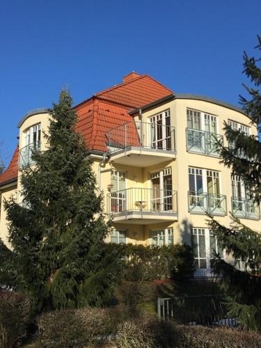 a large building with a tree in front of it at Apartment Scharmützelsee in Bad Saarow