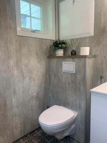 a bathroom with a white toilet and a window at Engen Gård in Innfjorden